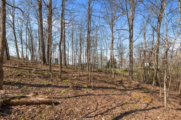 a view of a street with a building in the background