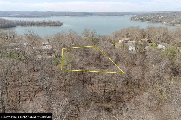 a view of a lake from a yard