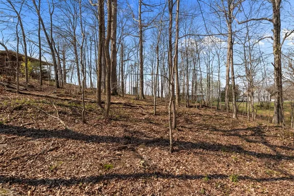 a view of backyard with green space