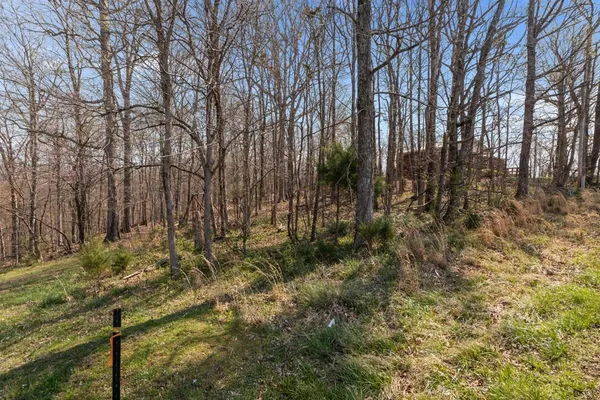 a view of a yard with swimming pool