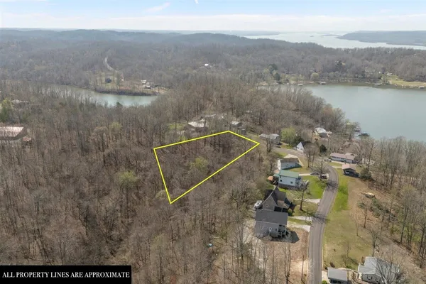 a backyard of a house with large trees
