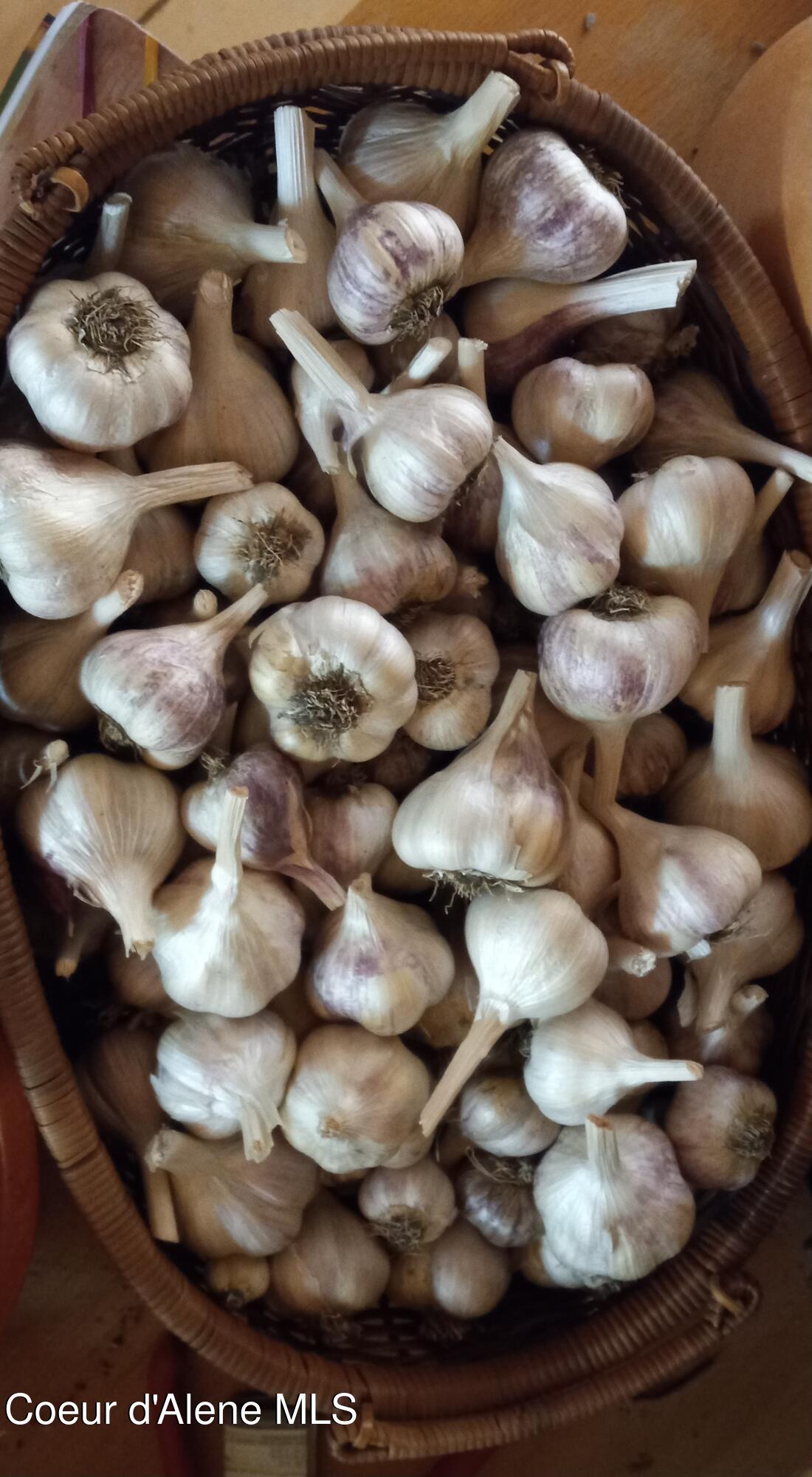 633 Old Mill Road Sandpoint, ID 83864 - Photo 41 of 50 Garlic
