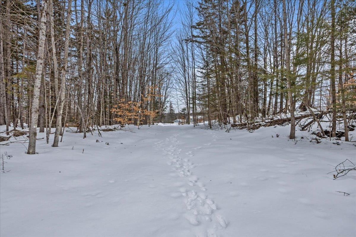 0 Barnes Road Montpelier, VT 05602 - Photo 23 of 51