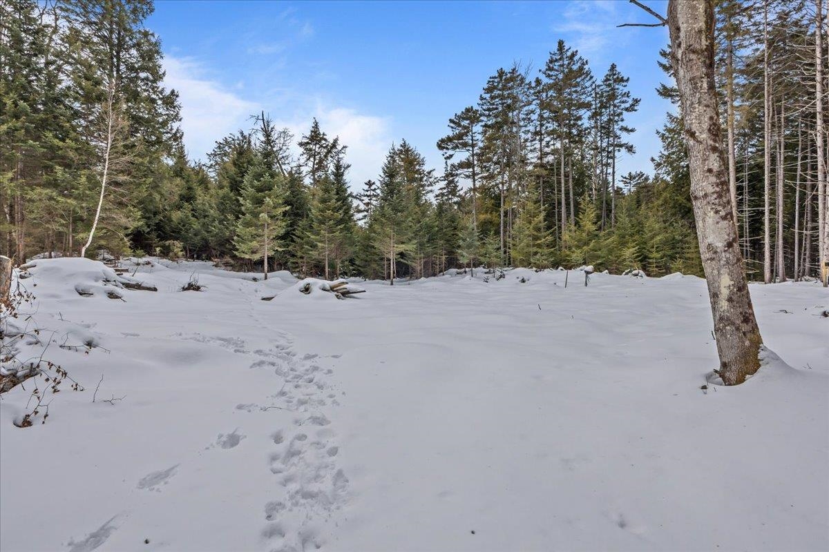 0 Barnes Road Montpelier, VT 05602 - Photo 24 of 51