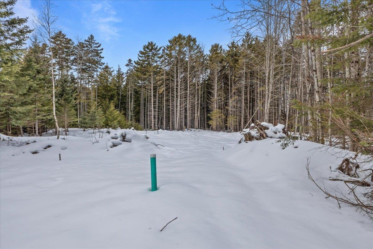 0 Barnes Road Montpelier, VT 05602 - Photo 25 of 51