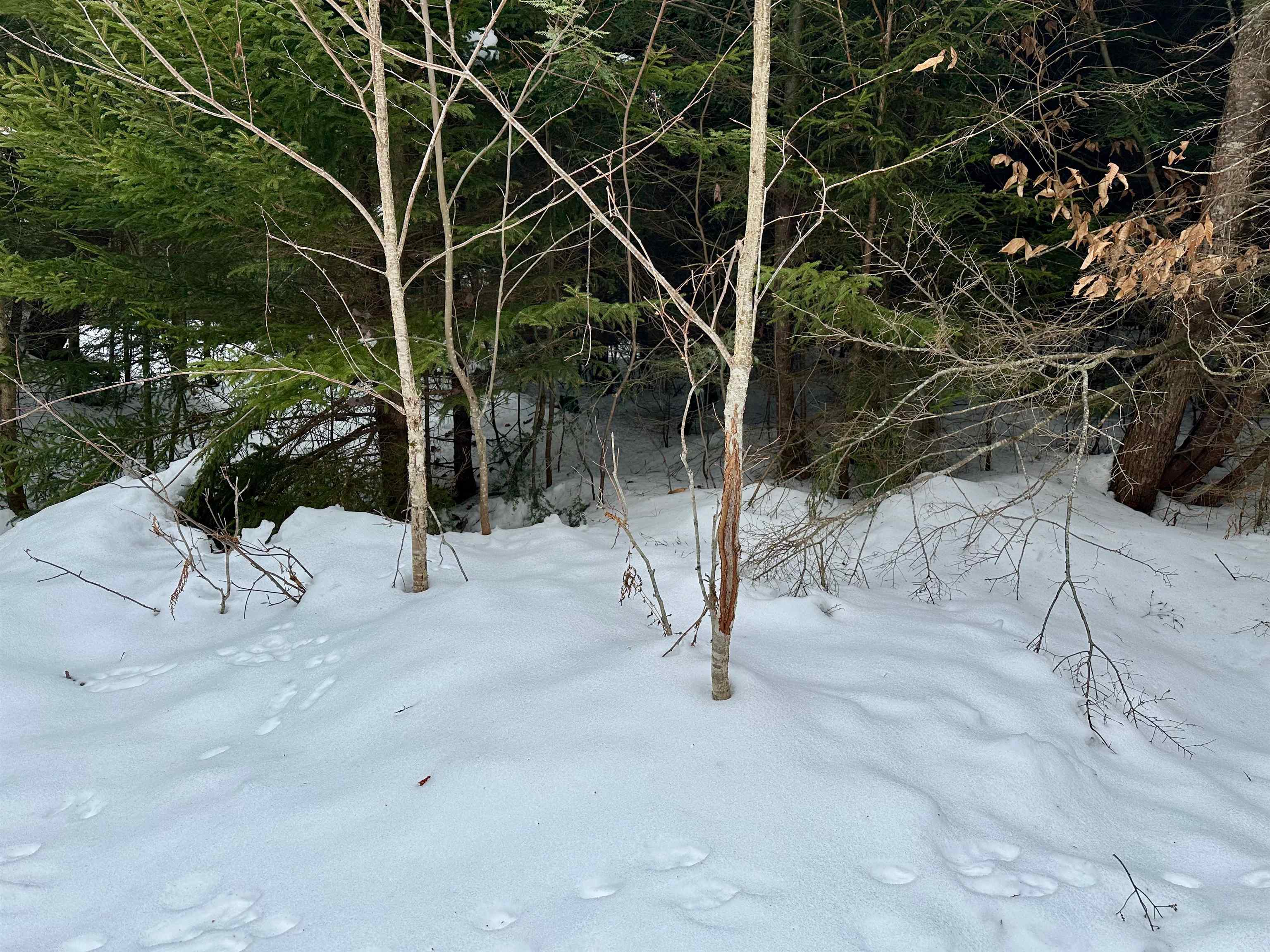 0 Barnes Road Montpelier, VT 05602 - Photo 50 of 51