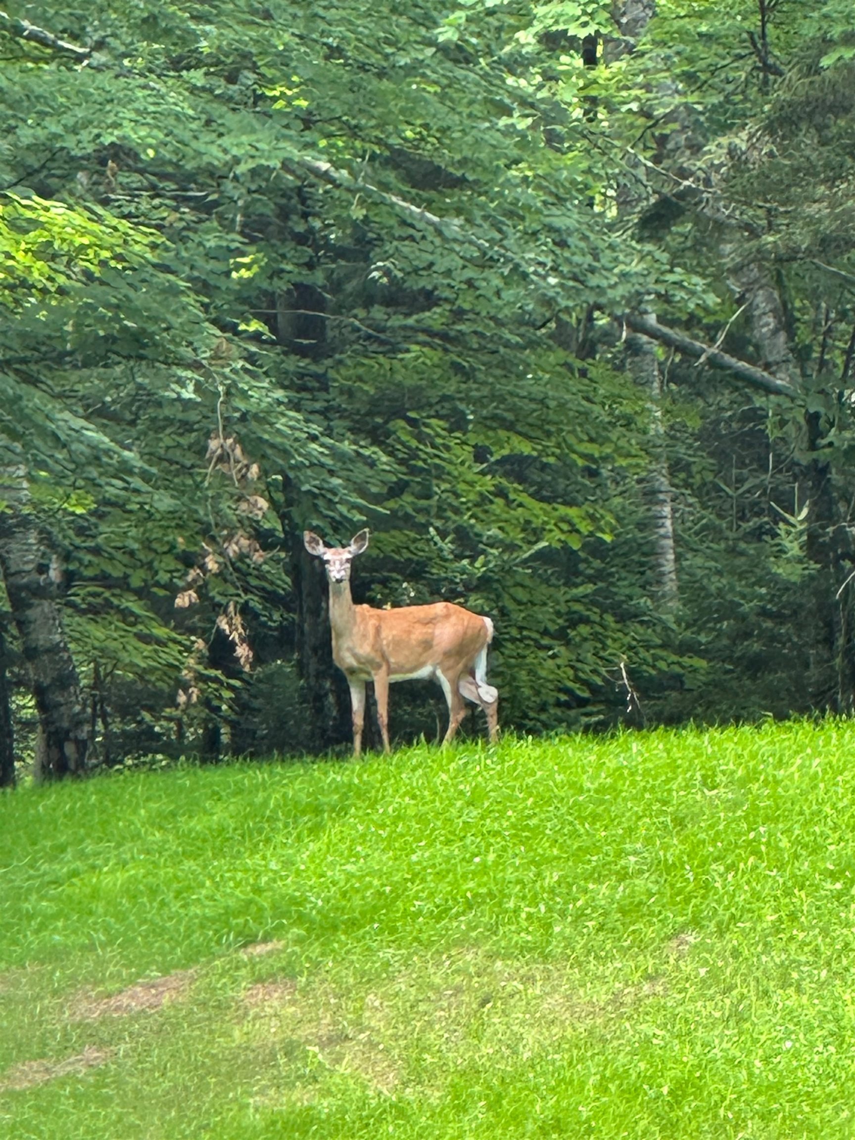 0 Barnes Road Montpelier, VT 05602 - Photo 51 of 51