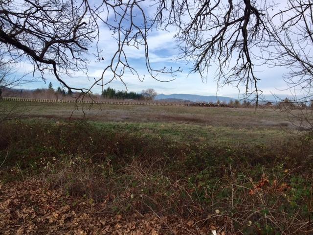 0 Calhoun Road Medford, OR 97501 - Photo 2 of 2 Additional Photo