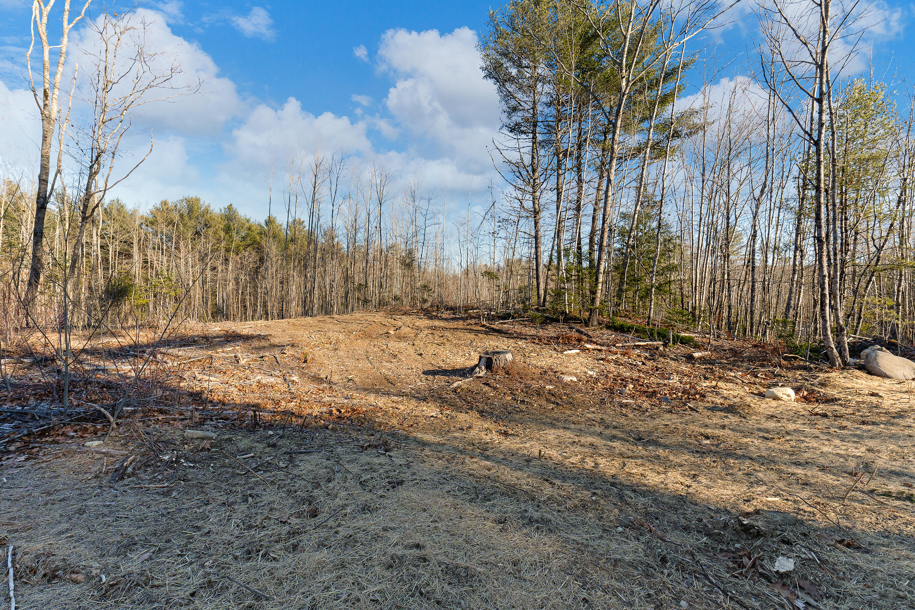 Lot 7 Pine Hill Road Palermo, ME 04354 - Photo 5 of 15 0135 - Lot 07