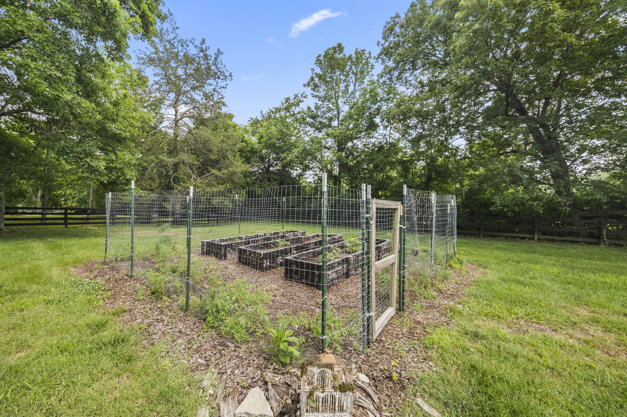 2107 Kidd Road Nolensville, TN 37135 - Photo 50 of 53 Gallery Image 50