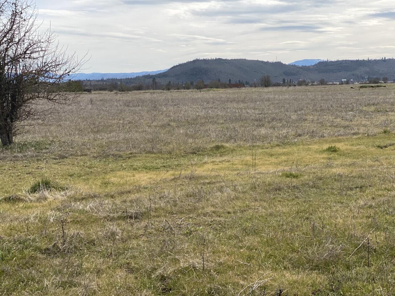 2971 Dodge Road White City, OR 97503 - Photo 5 of 8 thumbnail_IMG_8840