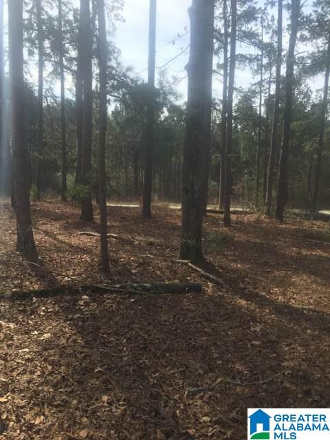 0 County Road 49, Unit 4 Ranburne, AL 36273 - Photo 14 of 14 Gallery Image 14