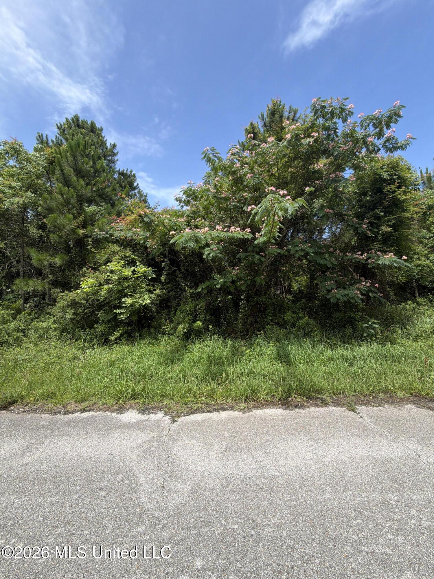 5921 M And L Road Biloxi, MS 39532 - Photo 6 of 10 05