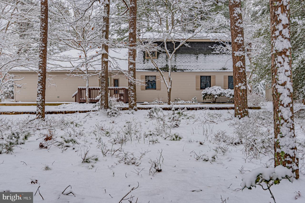805 Nugentown Road Tuckerton, NJ 08087 - Photo 2 of 35 Gallery Image 2