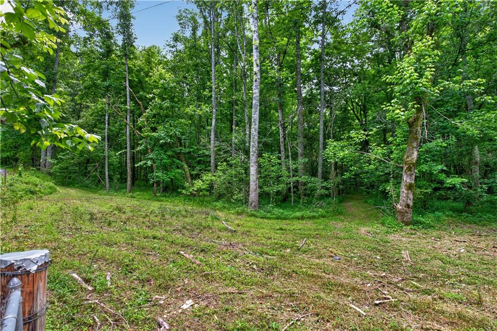 0 Parksbrook Road Ellijay, GA 30540 - Photo 49 of 67