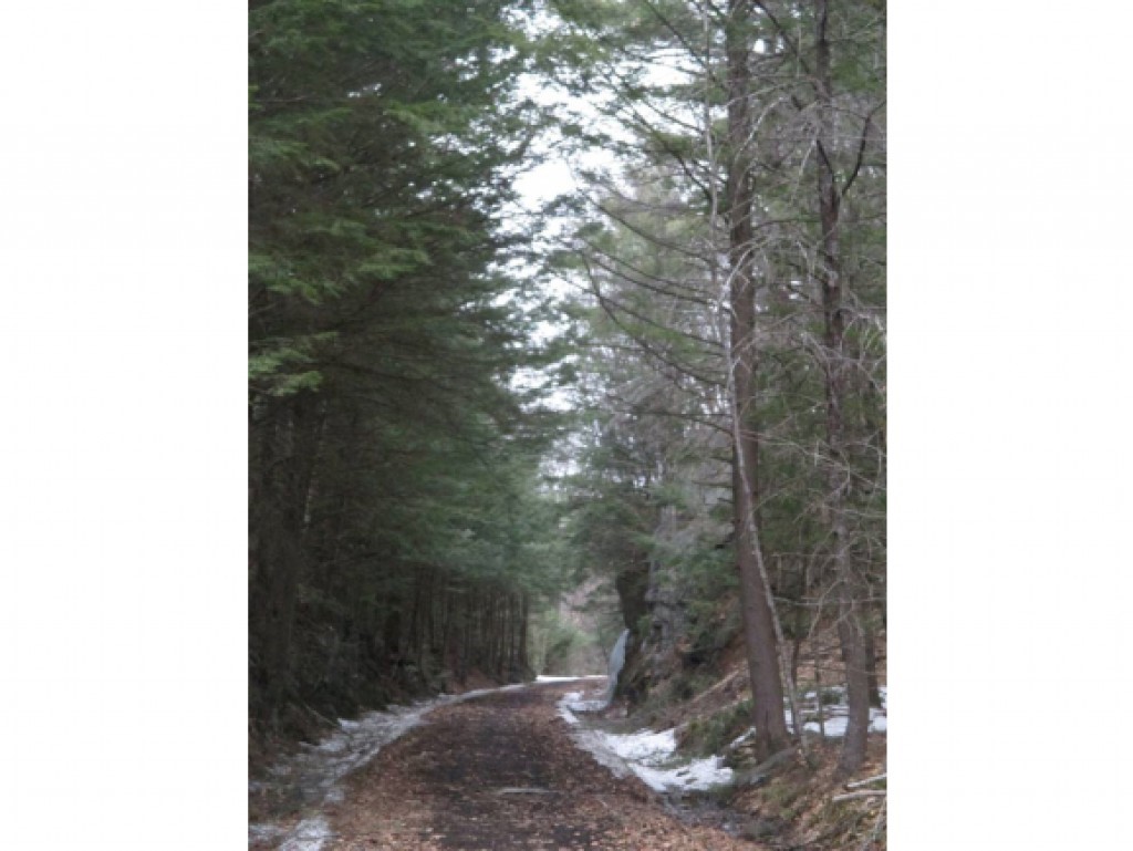 0 Rte 119 Fitzwilliam Nh 03447 Fitzwilliam, NH 03447 - Photo 3 of 5