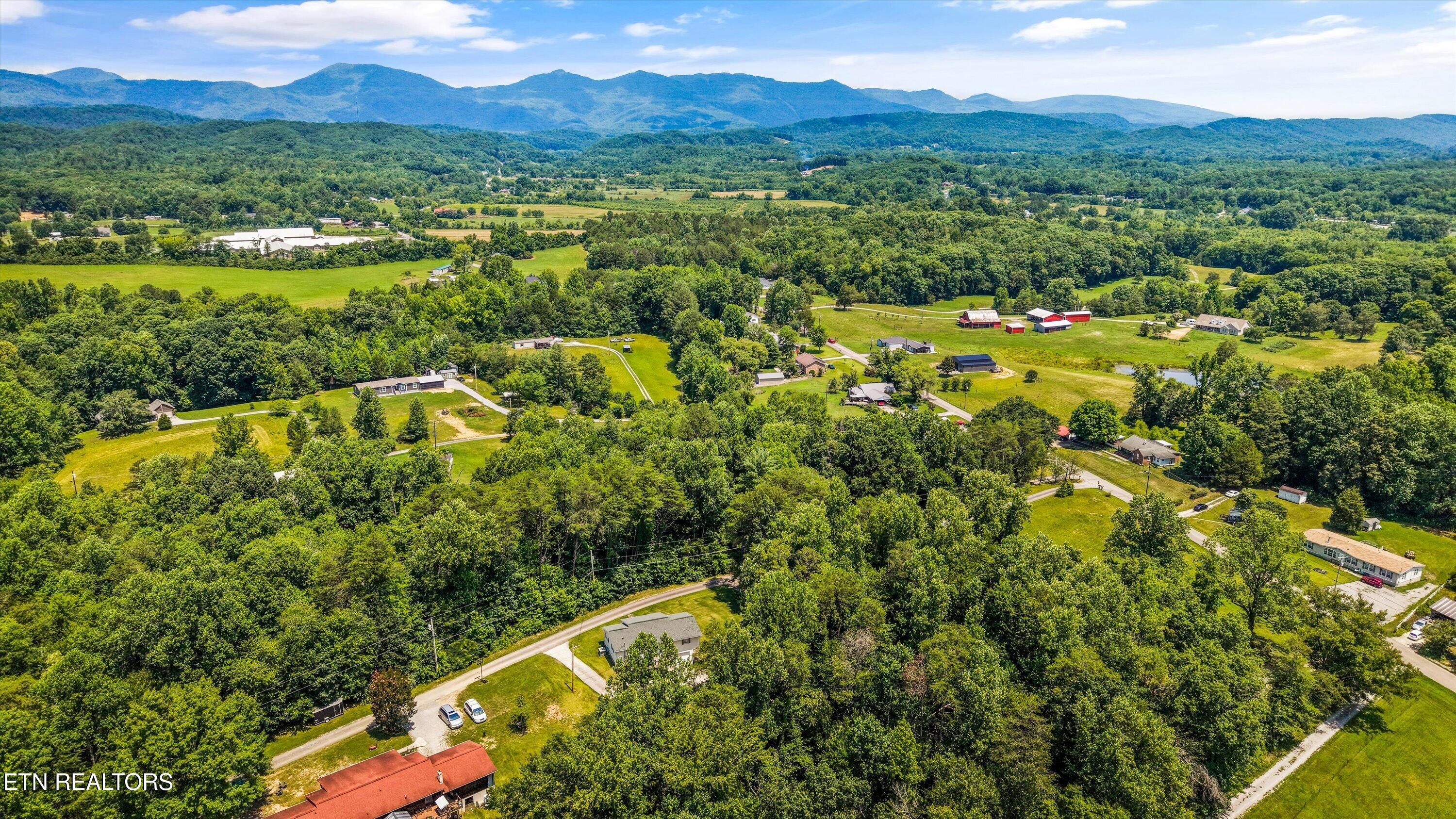 250 Ollis Road Oliver Springs, TN 37840 - Photo 46 of 47 Ariel View