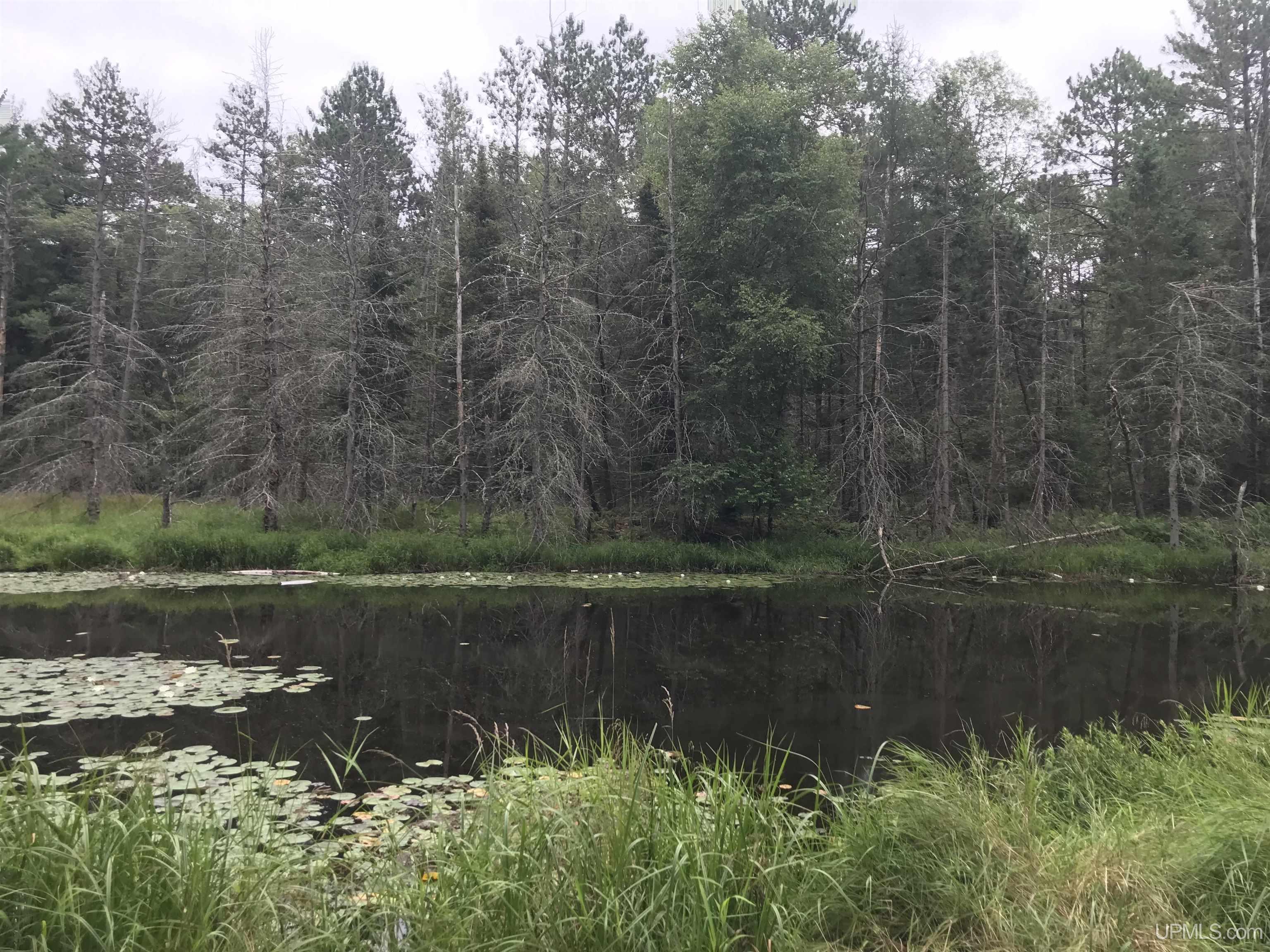 1485 Scout Lake Road Fence, WI 54120 - Photo 19 of 23 Gallery Image 19
