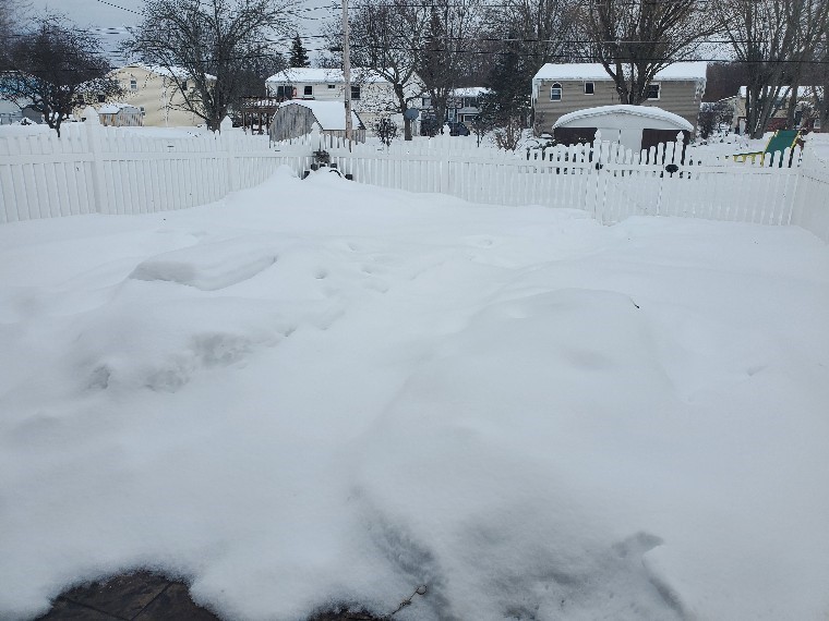 15 Mango Lane Gates, NY 14606 - Photo 39 of 41