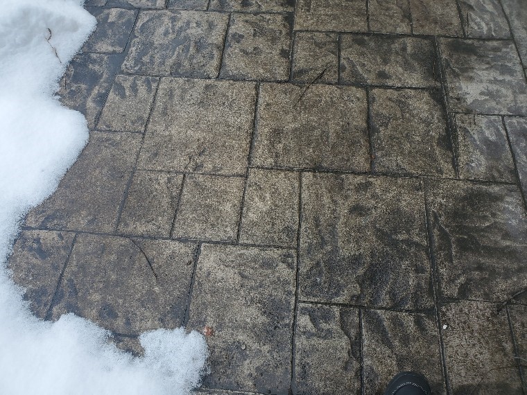 15 Mango Lane Gates, NY 14606 - Photo 41 of 41