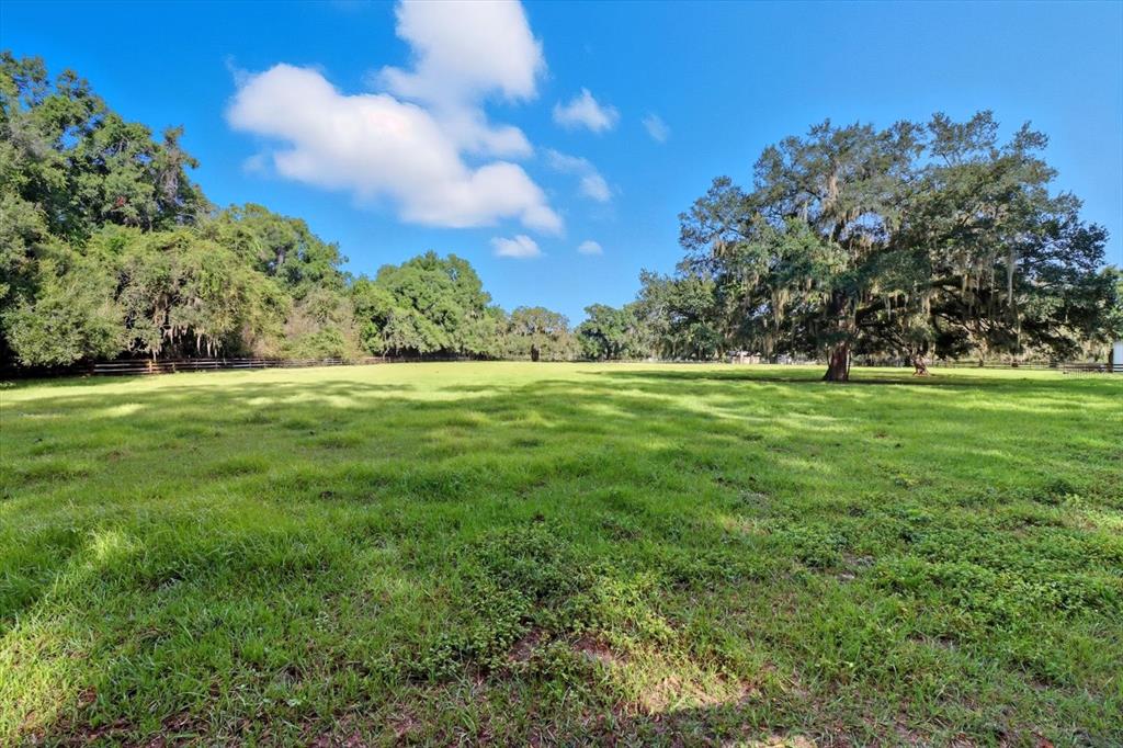 12550 Southwest 16th Avenue Ocala, FL 34476 - Photo 45 of 63 a big yard with lots of green space