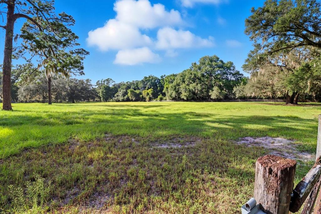 12550 Southwest 16th Avenue Ocala, FL 34476 - Photo 46 of 63 a view of a big yard with plants and large trees