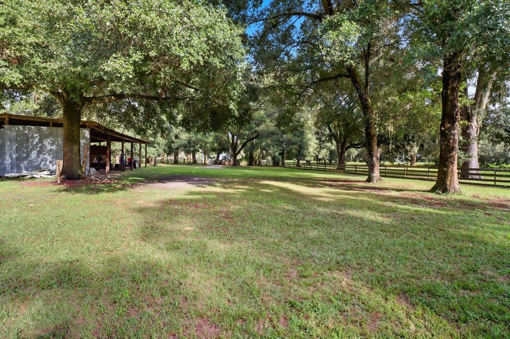 12550 Southwest 16th Avenue Ocala, FL 34476 - Photo 47 of 63 a view of a park with large trees