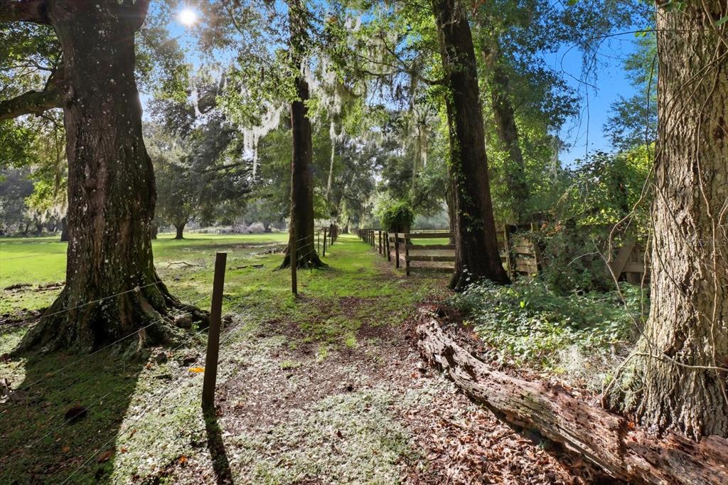 12550 Southwest 16th Avenue Ocala, FL 34476 - Photo 48 of 63