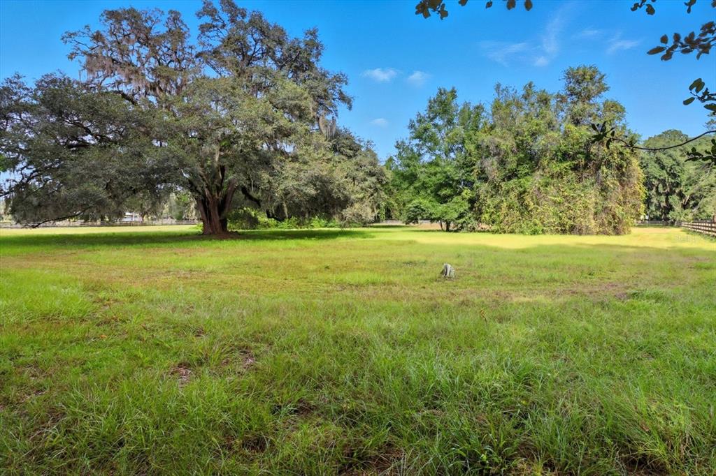 12550 Southwest 16th Avenue Ocala, FL 34476 - Photo 49 of 63 a view of a field with an trees