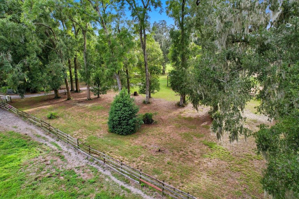 12550 Southwest 16th Avenue Ocala, FL 34476 - Photo 55 of 63 a view of a yard with plants and trees