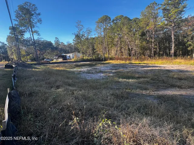 a view of yard with trees
