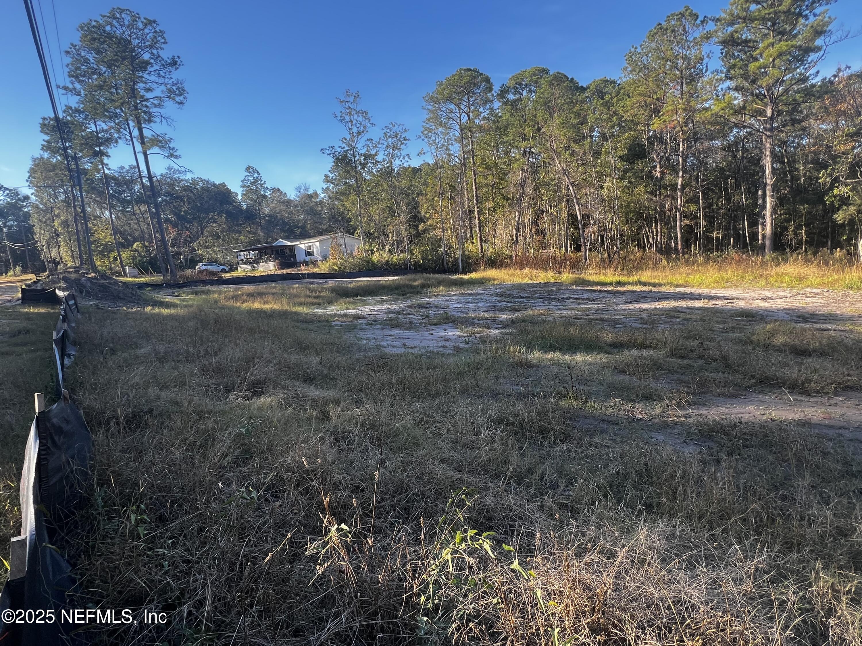 a view of yard with trees