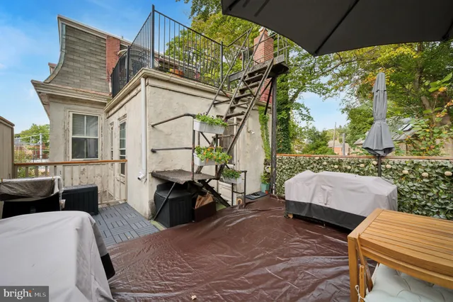 a view of a yard with plants