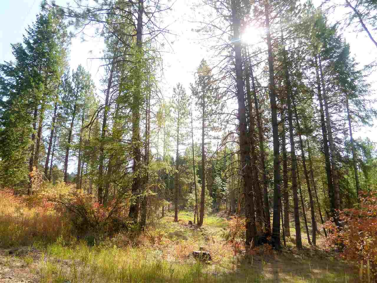 126000 East Tallman Road Chattaroy, WA 99003 - Photo 3 of 6 Gallery Image 3