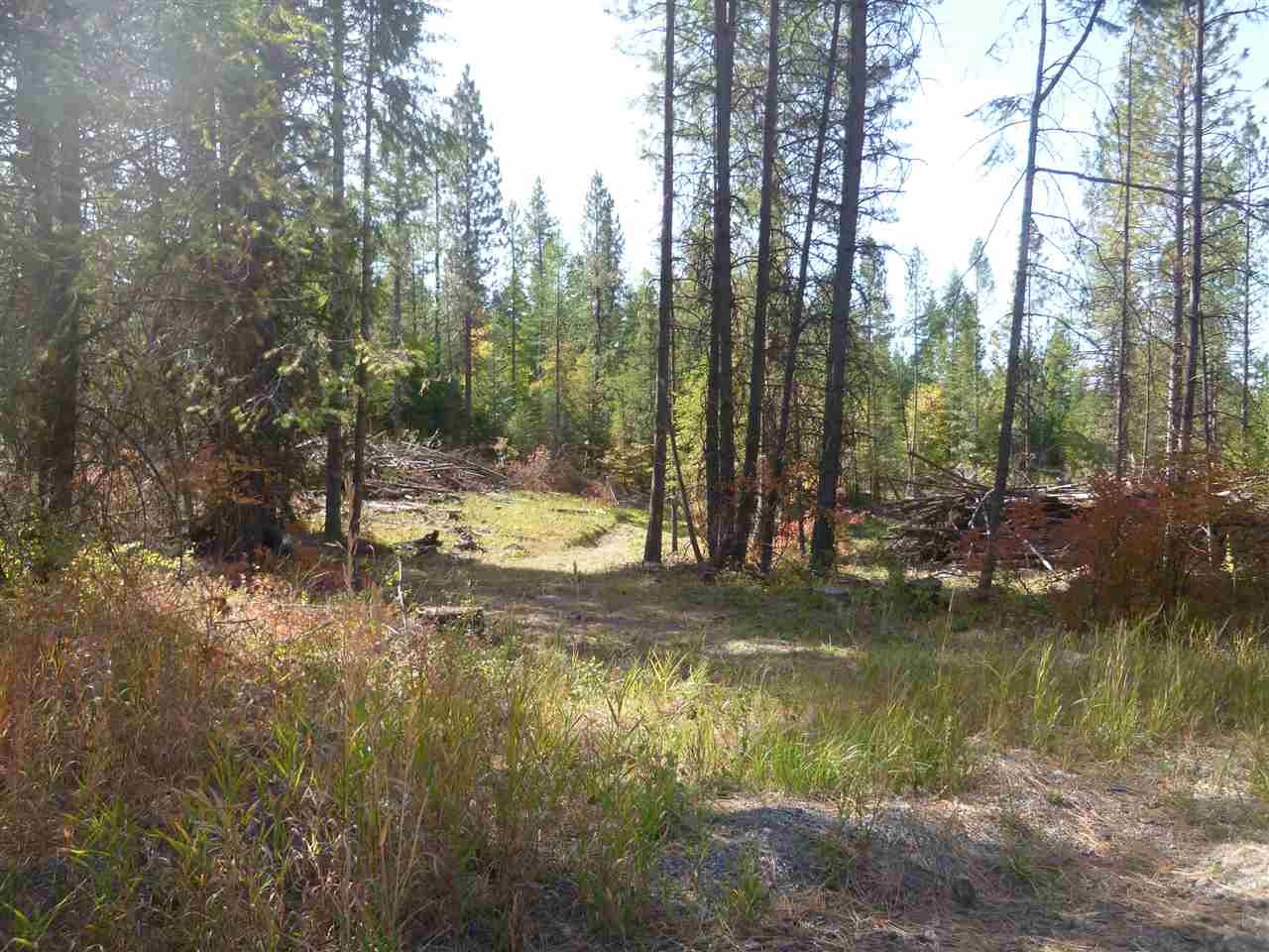 126000 East Tallman Road Chattaroy, WA 99003 - Photo 4 of 6 Gallery Image 4