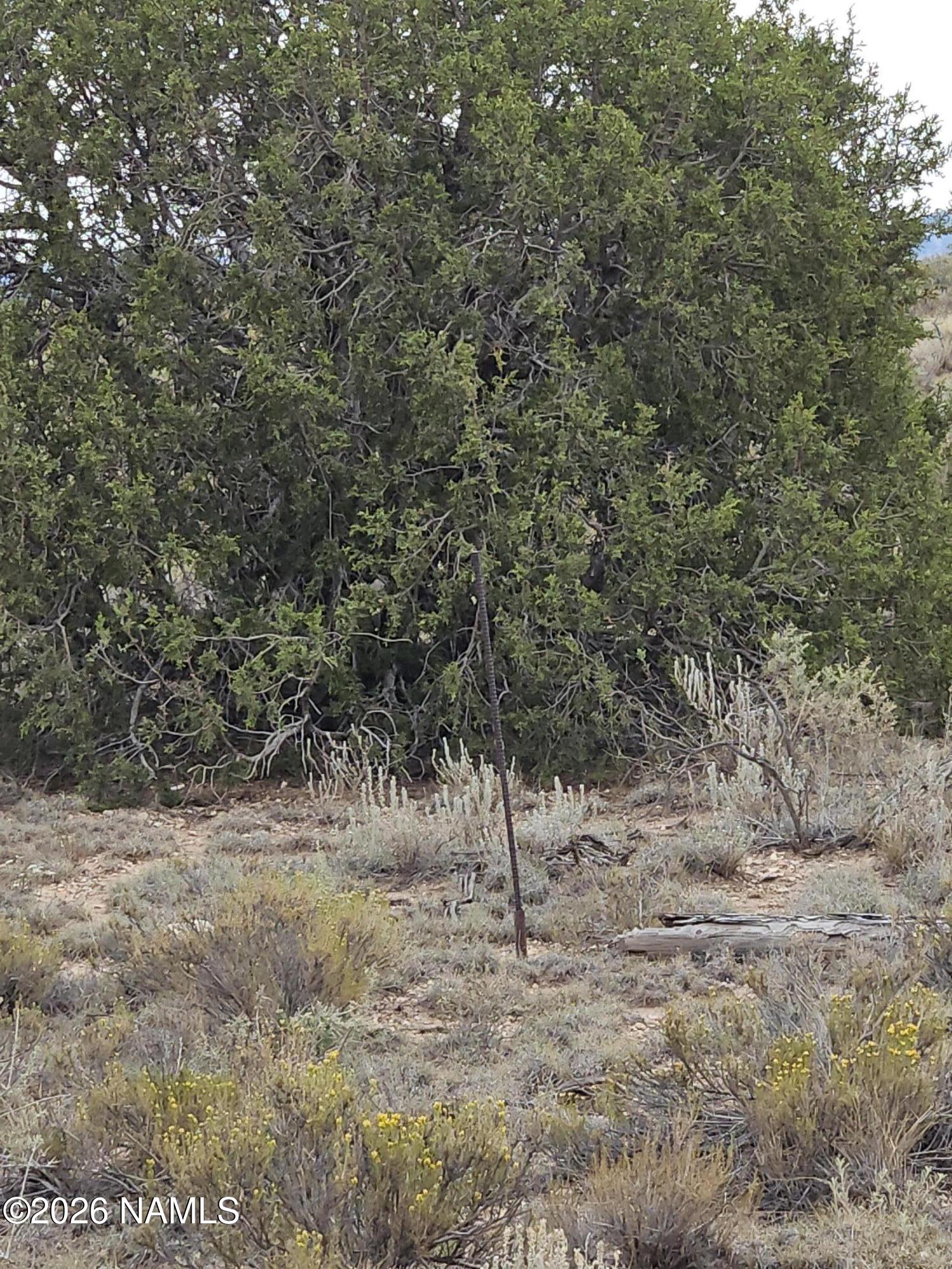 2937 Dewey Road Williams, AZ 86046 - Photo 3 of 3 2026-07-26 09.49.10