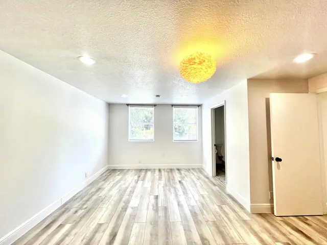 a view of a garden with a tree