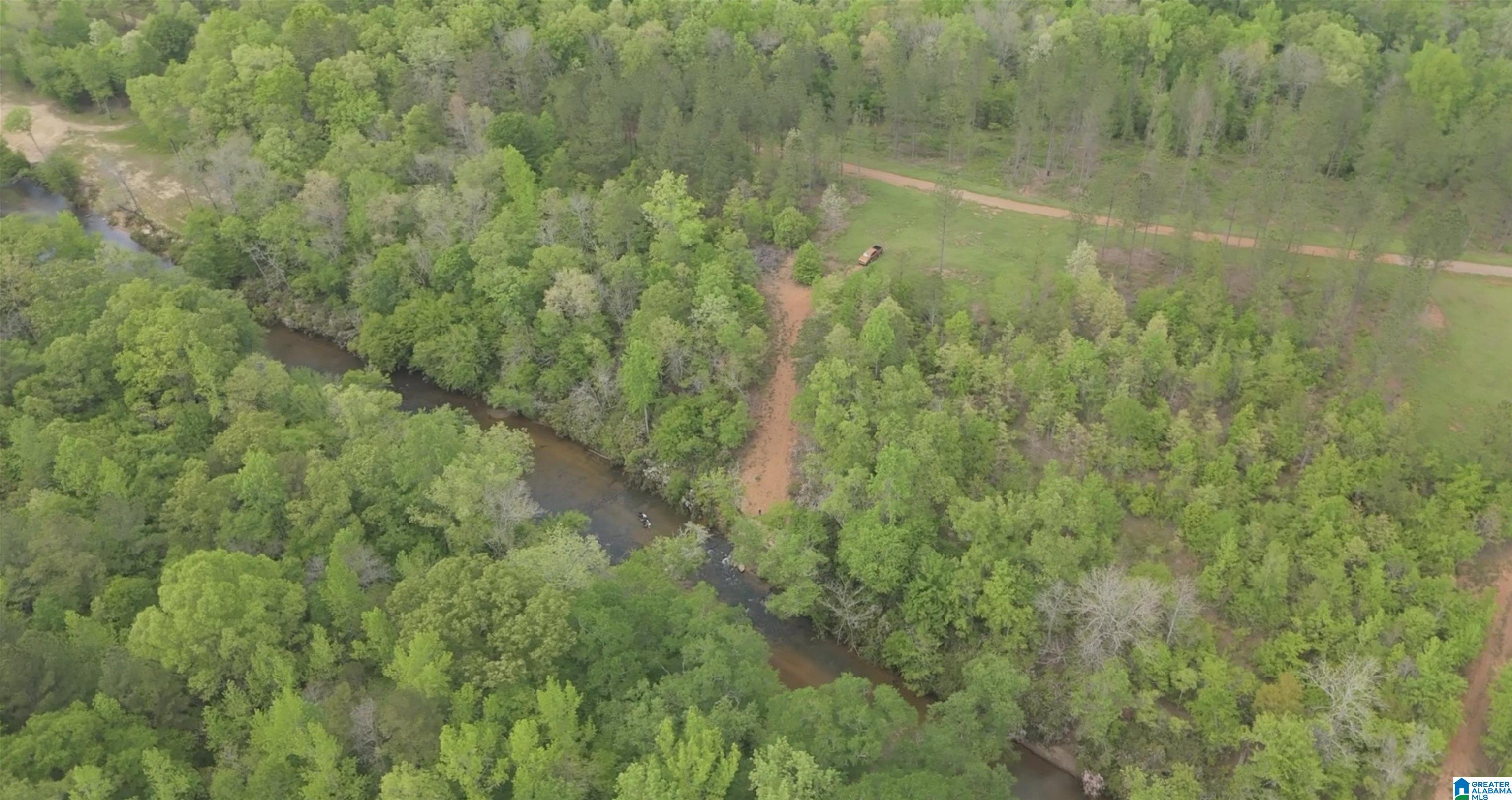 1051 Pate Road, Unit TRACT 5 AND 6 Cragford, AL 36255 - Photo 20 of 34