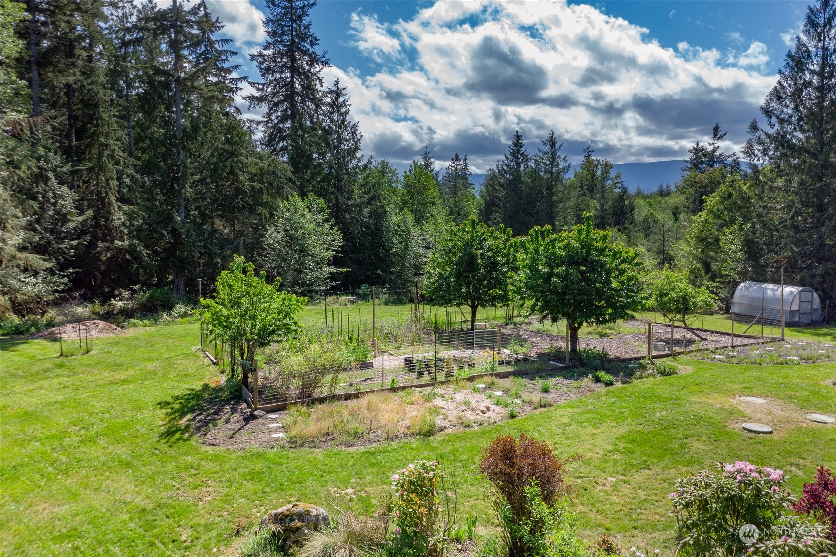 232 Peterson Road Port Townsend, WA 98368 - Photo 26 of 32 a view of a park with large trees