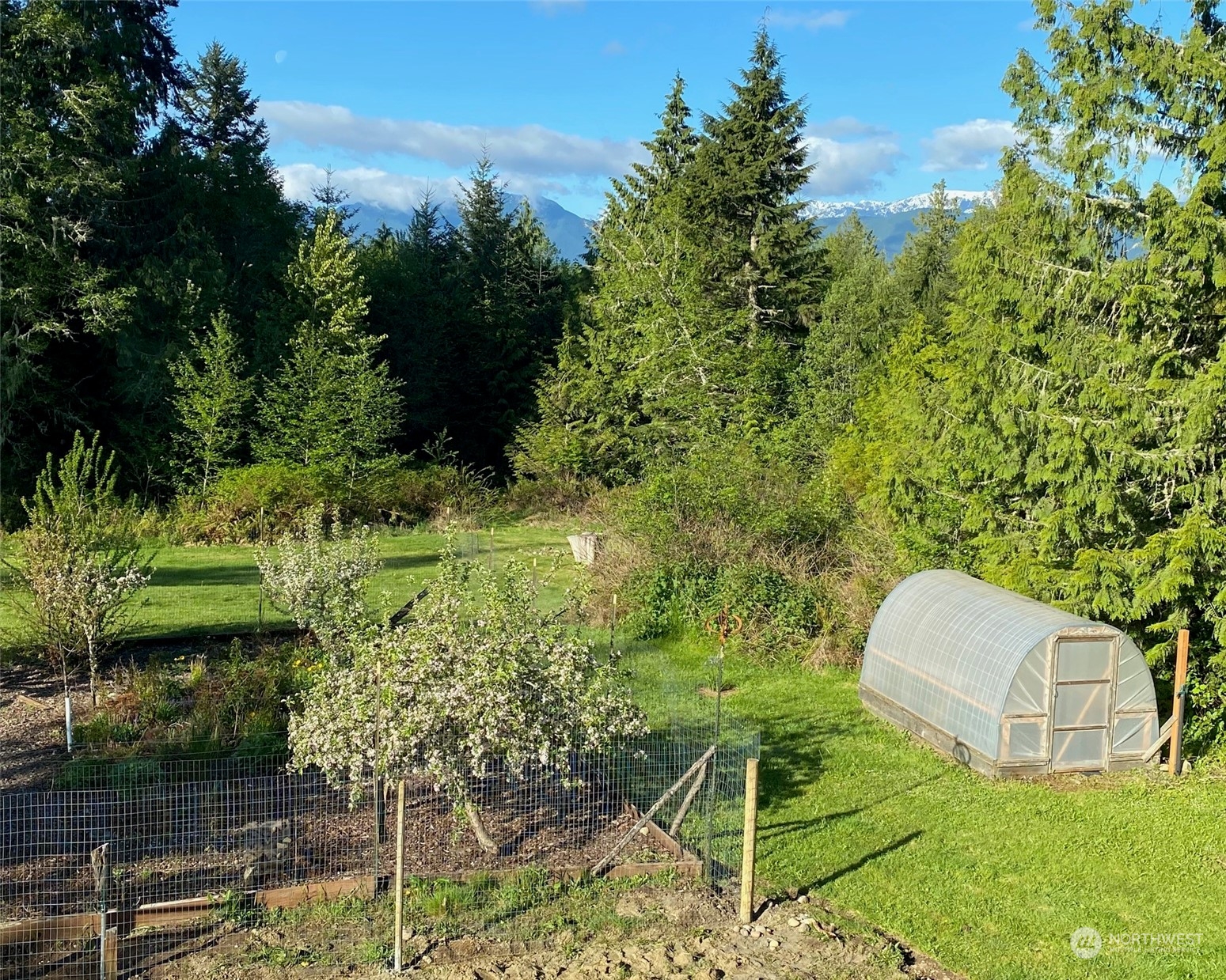 232 Peterson Road Port Townsend, WA 98368 - Photo 28 of 32 a view of a garden