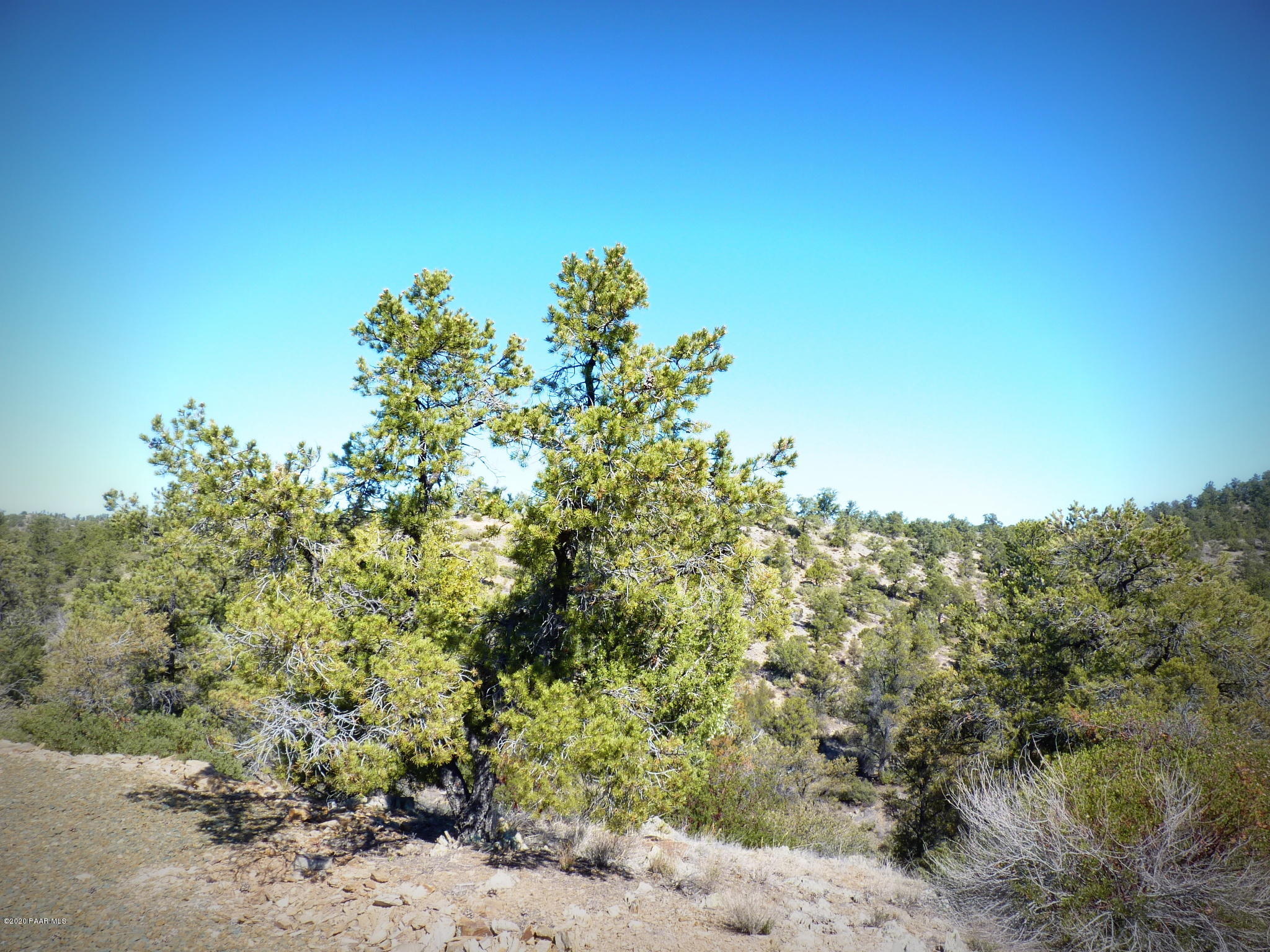 12885 Spiral Dancer Trail Prescott, AZ 86305 - Photo 11 of 36 P1470264