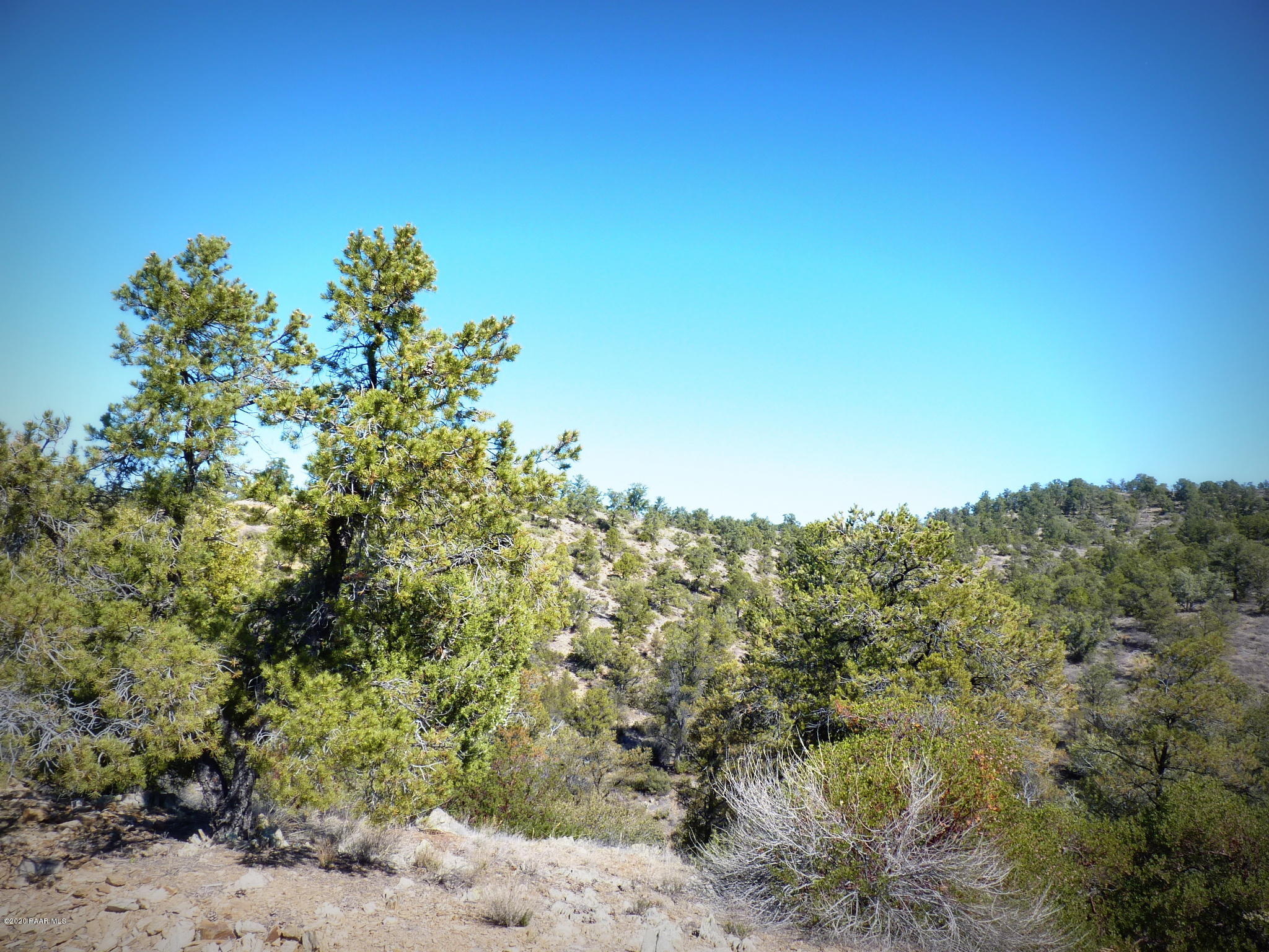 12885 Spiral Dancer Trail Prescott, AZ 86305 - Photo 12 of 36 P1470265