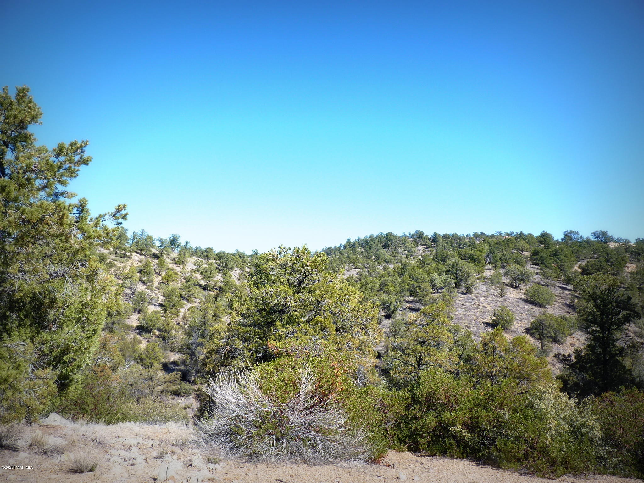 12885 Spiral Dancer Trail Prescott, AZ 86305 - Photo 13 of 36 P1470266