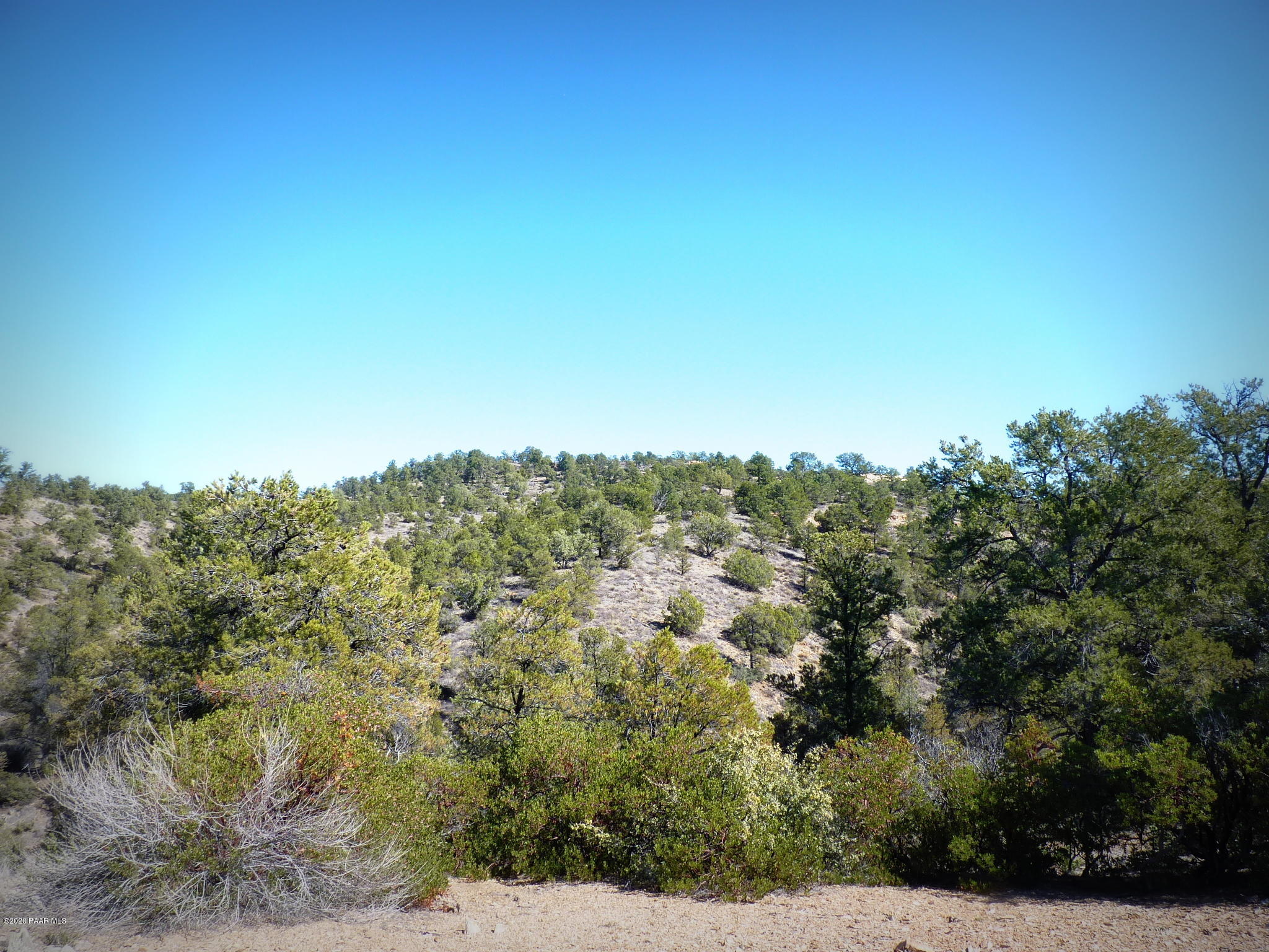 12885 Spiral Dancer Trail Prescott, AZ 86305 - Photo 14 of 36 P1470267
