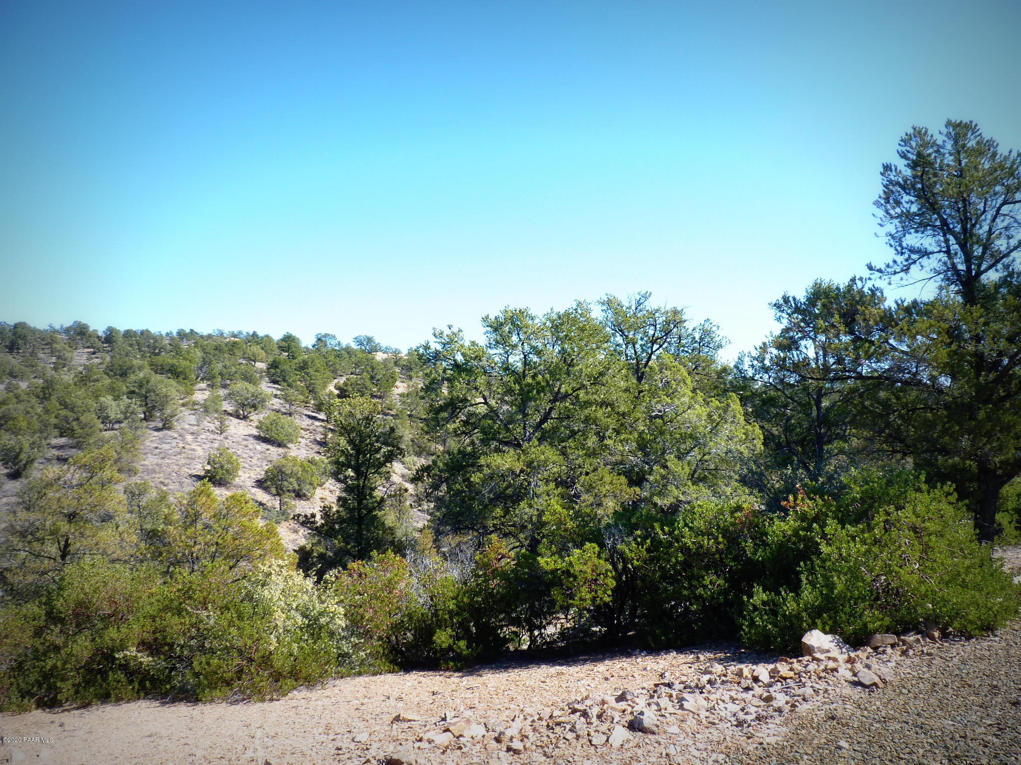 12885 Spiral Dancer Trail Prescott, AZ 86305 - Photo 15 of 36 P1470268