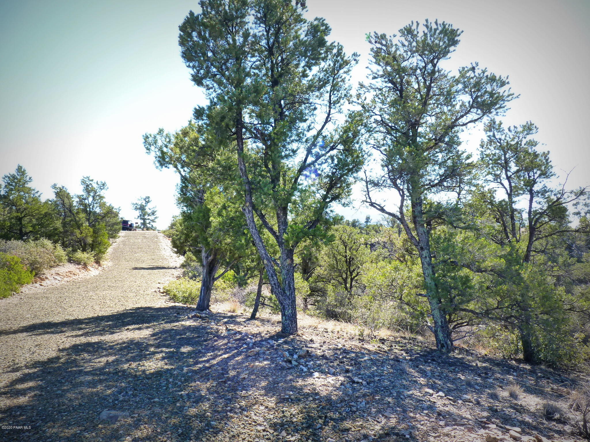 12885 Spiral Dancer Trail Prescott, AZ 86305 - Photo 19 of 36 P1470272