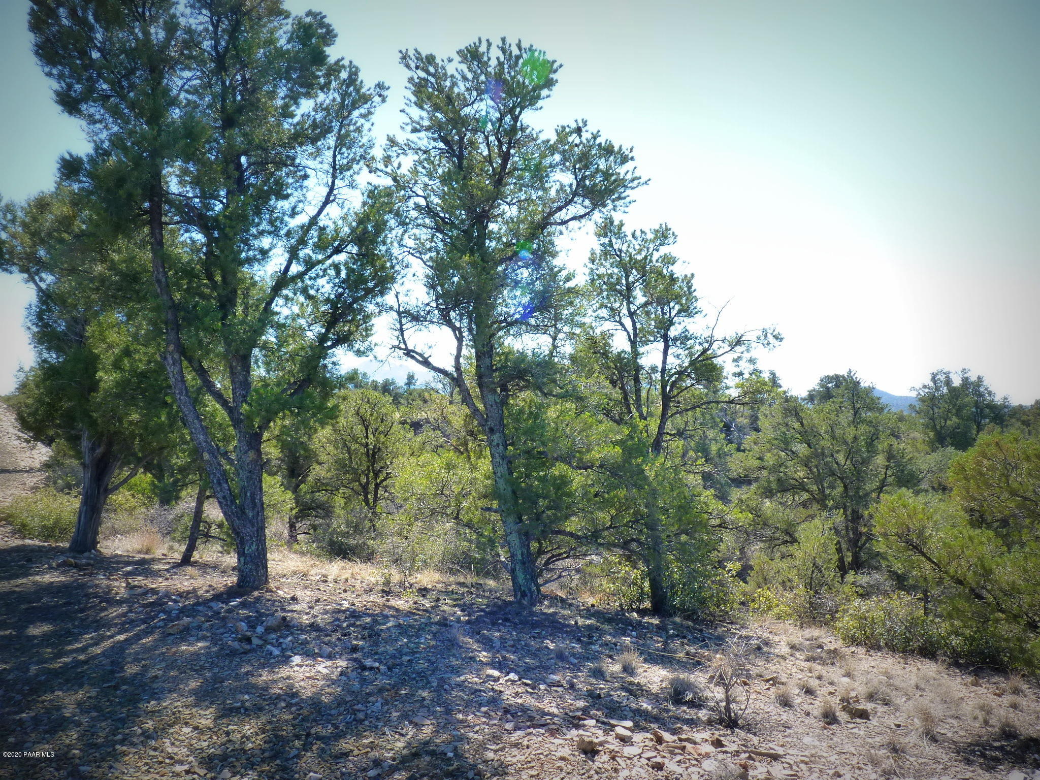 12885 Spiral Dancer Trail Prescott, AZ 86305 - Photo 20 of 36 P1470273