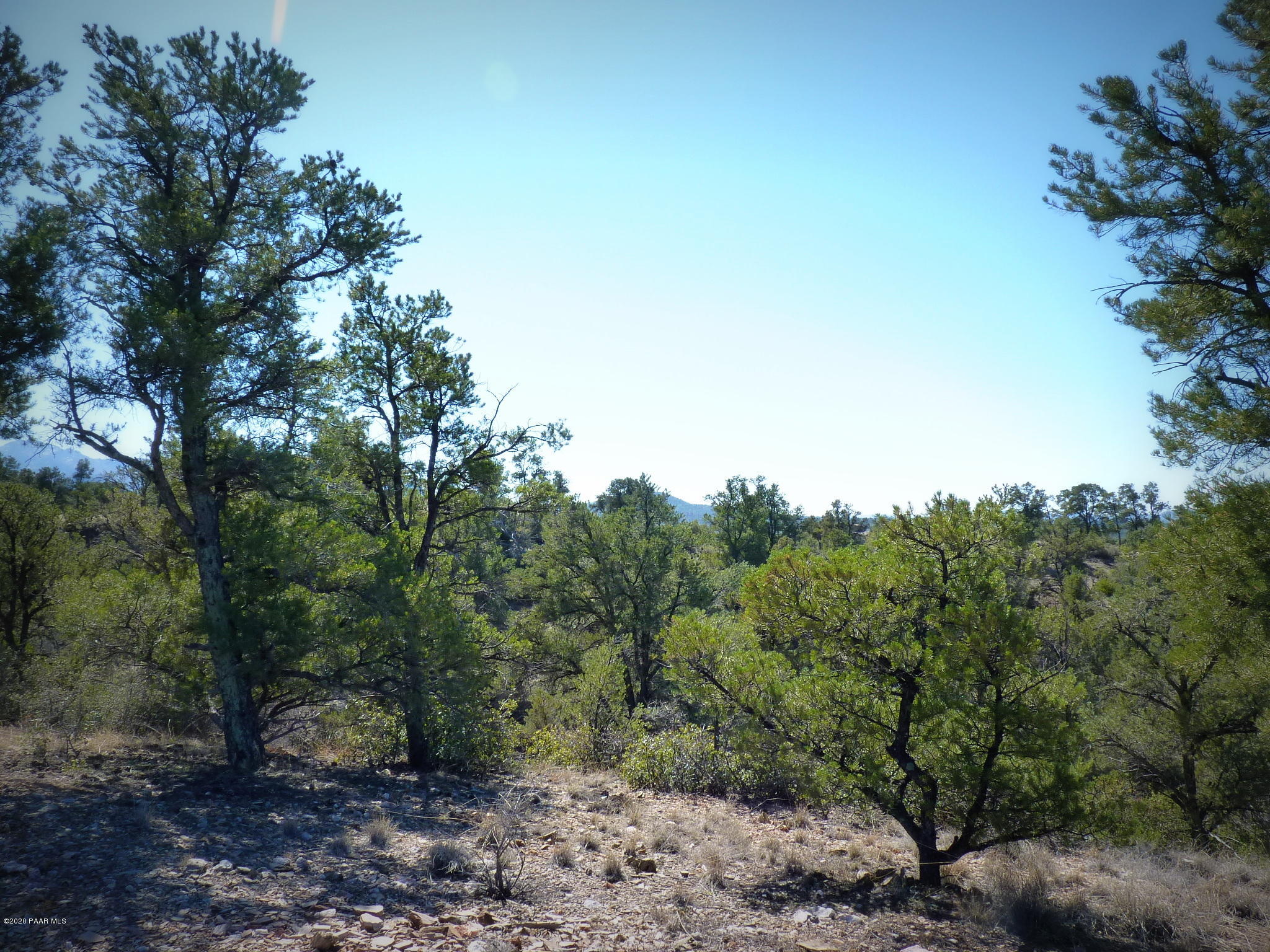 12885 Spiral Dancer Trail Prescott, AZ 86305 - Photo 21 of 36 P1470274