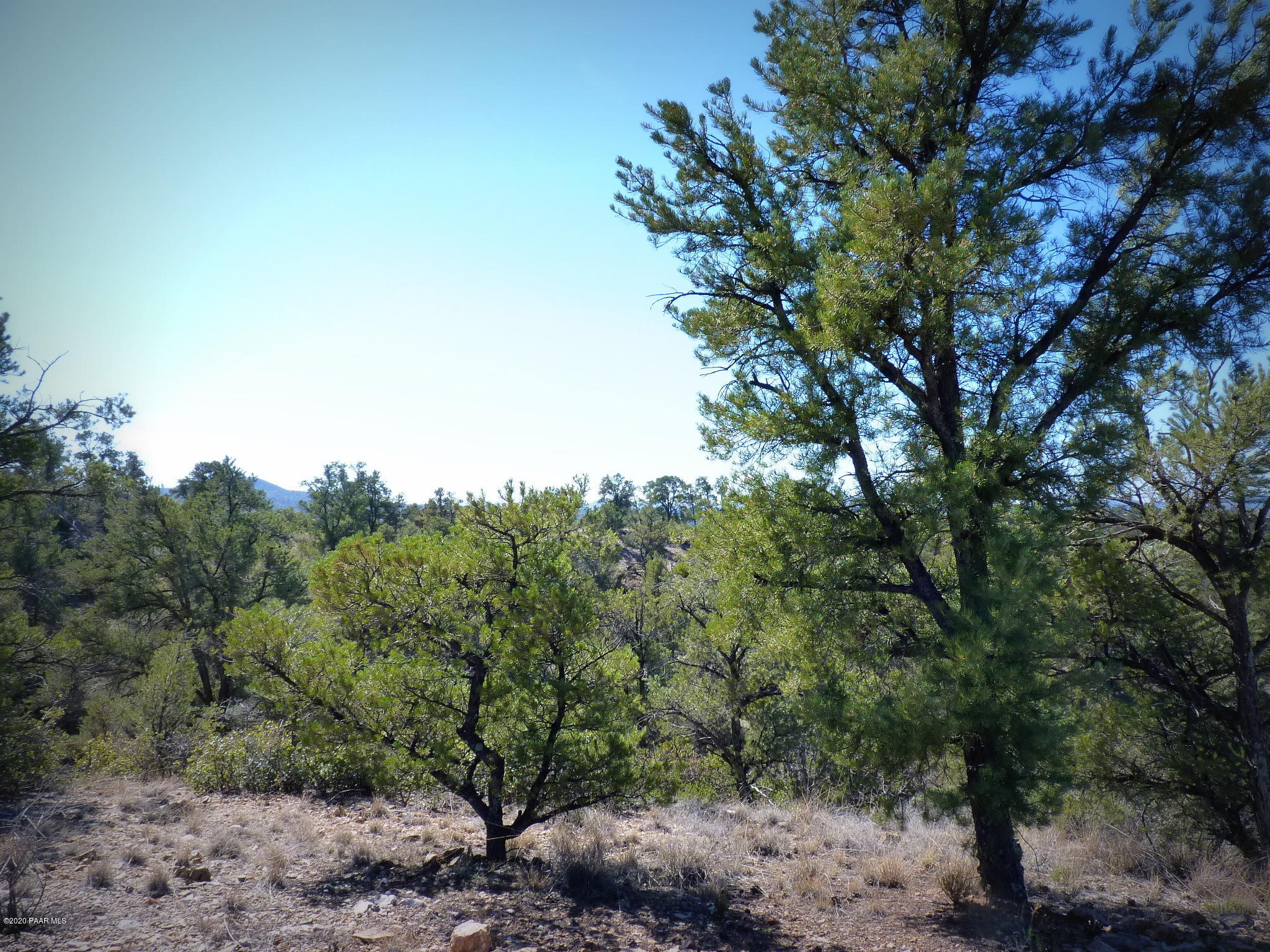 12885 Spiral Dancer Trail Prescott, AZ 86305 - Photo 22 of 36 P1470275