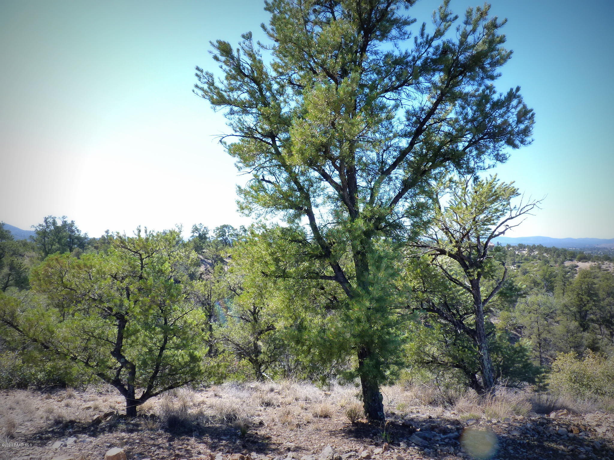 12885 Spiral Dancer Trail Prescott, AZ 86305 - Photo 23 of 36 P1470276